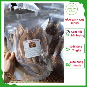 [Ảnh tự chụp] 500g Nấm linh chi thái lát/nấm linh chi rừng/nấm linh chi