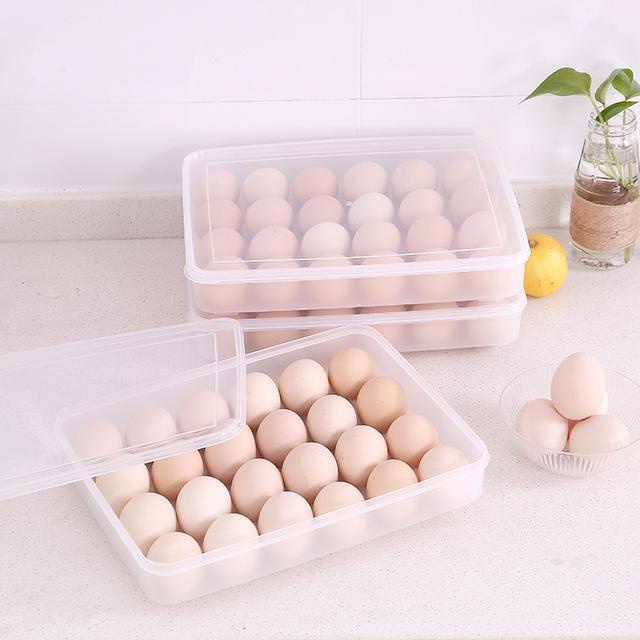 Hộp đựng trứng 24 quả có nắp đậy nhựa Việt Nhật (6786), khay bảo quản trứng không bị vỡ chắc chắn  aladanh-net-vn