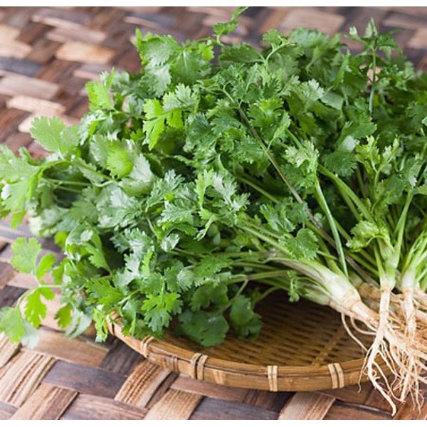 Tặng 1♥️ComBo 3 Gói Tặng 1 = 4 gói Hạt Giống Rau Mùi, Xà Lách, Rau Cải 💚 Tuyển Chọn Dễ Trông Ăn Ngon, Năng Suất