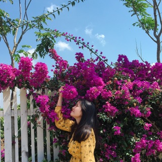 hanguyentthu