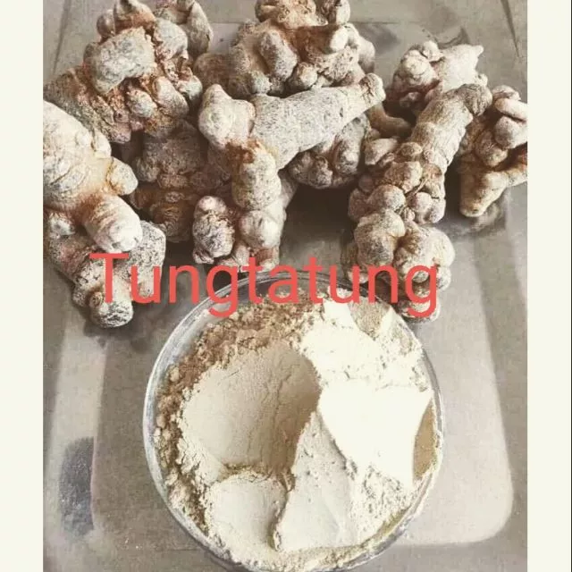 500G BỘT CỦ TAM THẤT BẮC chuẩn bao test
