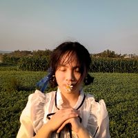 songsong29052003