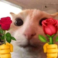 cam_tusuho