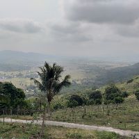 huynhtrang2401