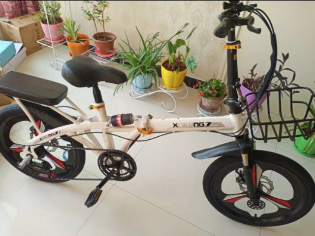 XE ĐẠP GẤP  GỌN  Phoenix Chính Hãng - NAM NỮ  Bánh 20 inh Full phụ kiện