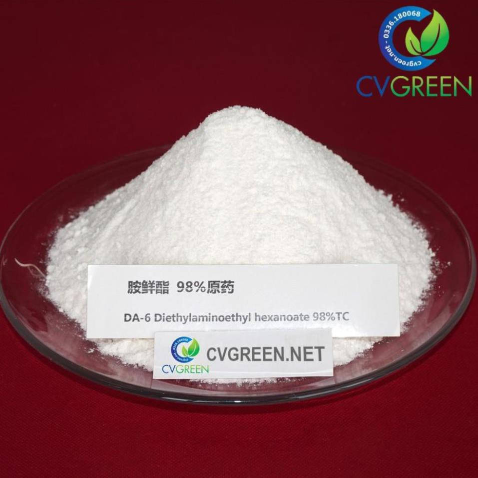 Thuốc Cytokinin DA6 98% (100g) | Shopee Việt Nam