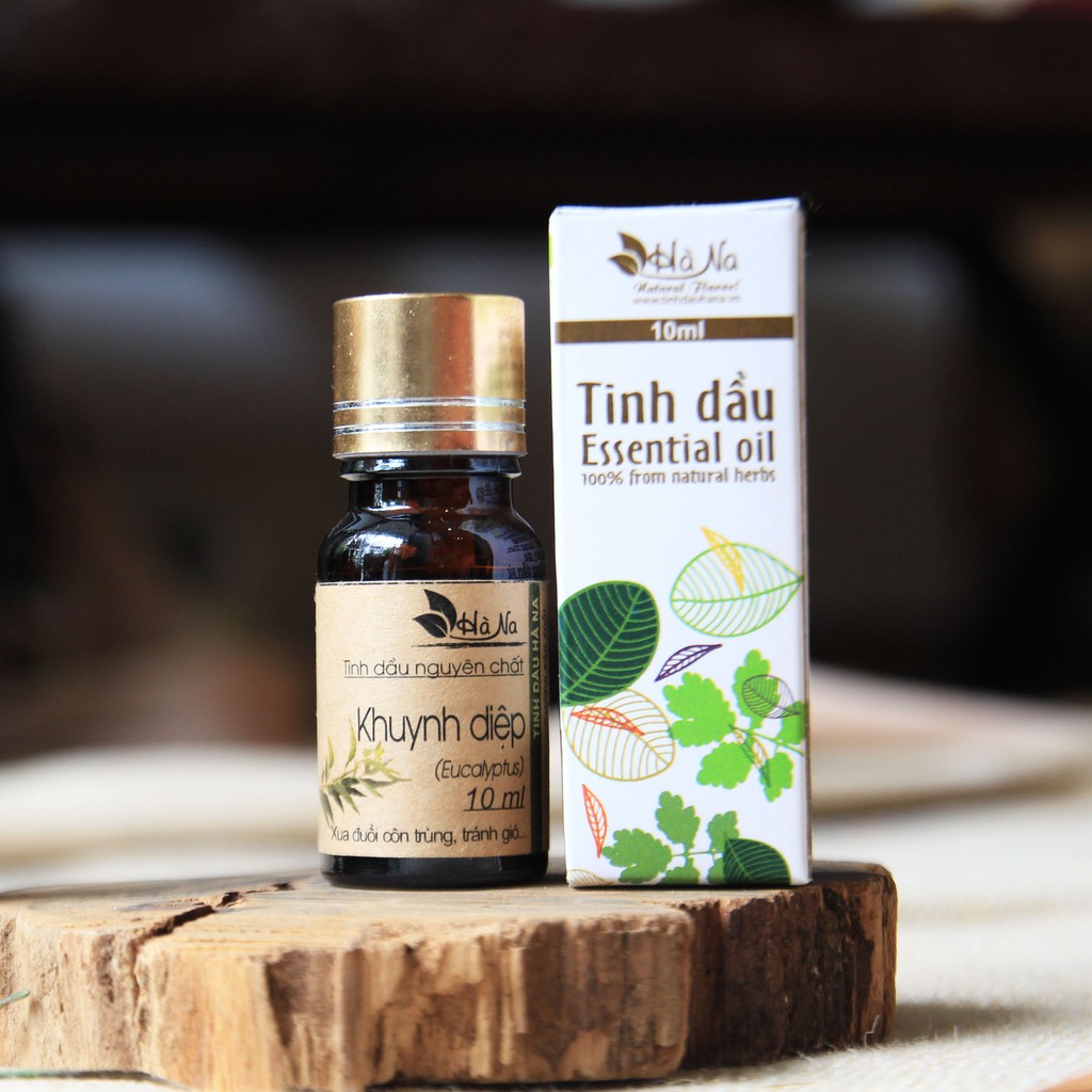 Tinh Dầu khuynh diệp (Bạch đàn trắng) - Tinh Dầu Hà Na - Đuổi côn trùng, đuổi muỗi, khử mùi hiệu quả
