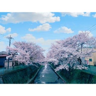 yenoc151195