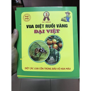 Combo 10 tấm dính ruồi vàng Đại Việt diệt ruồi vàng hiệu quả an toàn với sức khỏe chất bám dính cực mạnh
