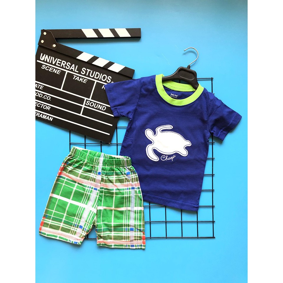 Bộ rùa xanh | Shopee Việt Nam