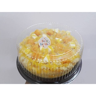 Hộp Đựng Bánh/Thạch Rau Câu 3D/Bánh Bông Lan/Xôi Hoa A024 (20cm)