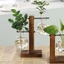 DELMER Chậu Hoa Bình Hoa Thủy Canh Cây Cưới Đảng Bình Thủy Tinh Terrarium Nhà Cây Cảnh Trang Trí
