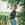 annhien1121998