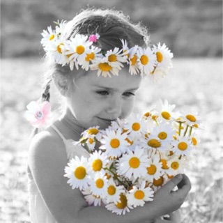 khanhvy_biennho