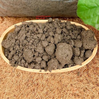 Đất Thịt Trồng Cây (1kg) Nguyên Liệu Trộn Căn Bản