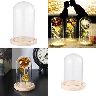 [Giao hàng từ Việt Nam] Tấm che bụi HAVENLYCO Terrarium Để bàn Trang trí nội thất Bình thủy tinh Terrarium Đế gỗ