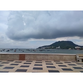 xueyang1402