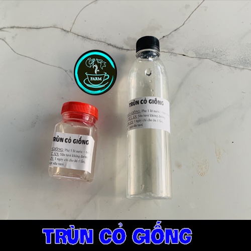 CON GIỐNG TRÙNG CỎ 