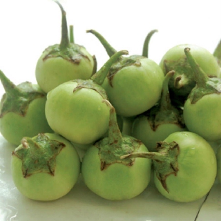 5 Gam-Hạt Giống Cà Pháo Xanh Cao Sản,kháng sâu bệnh tốt, sinh trưởng khoẻ, năng xuất cao
