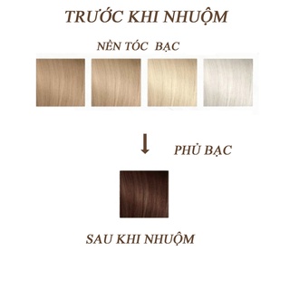 Thuốc nhuộm tóc màu nâu hạt dẻ chắc chắn sẽ khiến bạn hài lòng. Với màu sắc rực rỡ, sản phẩm này không chỉ giúp tóc của bạn trở nên đẹp hơn mà còn giúp nuôi dưỡng tóc tốt hơn.