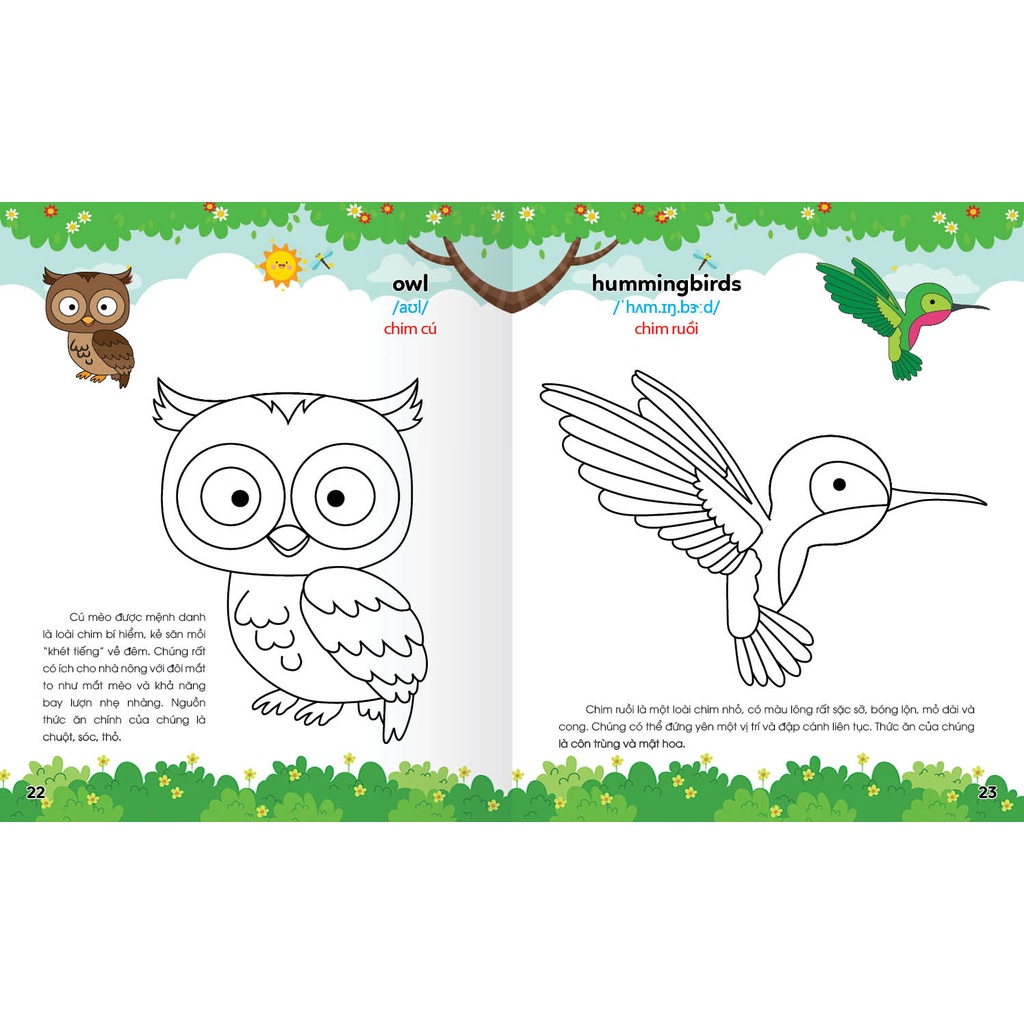 Ảnh Sách - Colouring 365 ngày Tô màu - KHÁM PHÁ THẾ GIỚI PHÁT TRIỂN TRÍ TUỆ - Động vật nuôi, Chim, Cá (Tập 1) 1