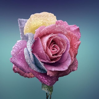 mua_xuan_nho