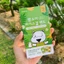 Miếng Dán Gel Lạnh HAMSOA Làm Dịu Vết Muỗi Cắn Côn Trùng Đốt Hàn Quốc [ Nội Địa Hàn Có Bill Order ]