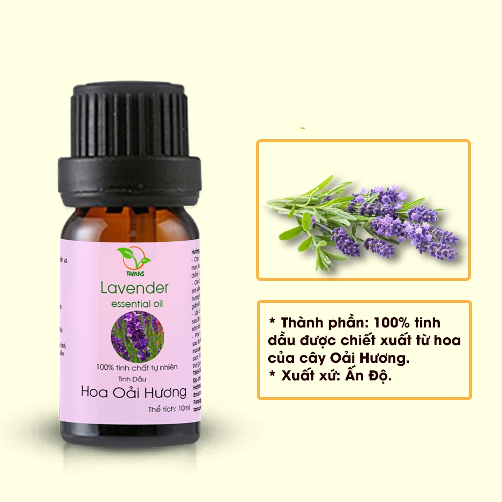 Ảnh Tinh dầu Oải Hương (Lavender) TAMAS 10ml thơm phòng, thư giãn 4