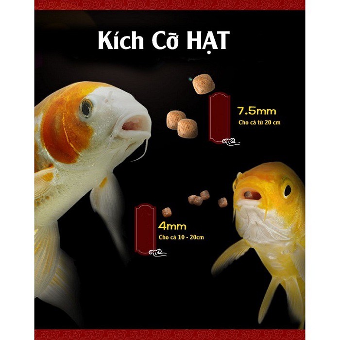 AQUAMASTER HI GROWTH 42% PROTEIN CÁ KOI CHIẾT LẺ BAO 5KG