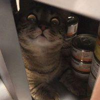 m_door
