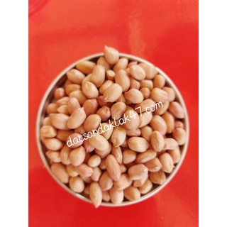 500g Đậu phộng sống hữu cơ - Hạt lạc sống Thuần chủng KHÔNG BIẾN ĐỔI GEN