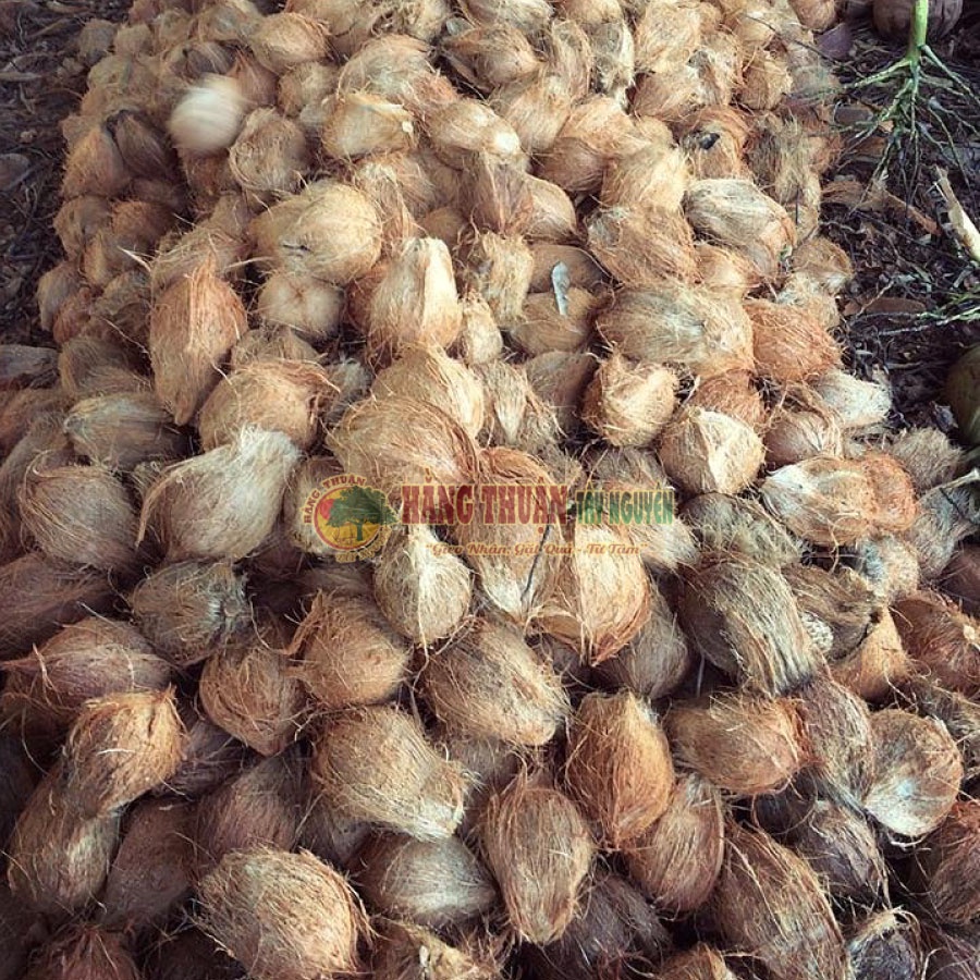 Dầu Dừa Nguyên Chất Handmade Hằng Thuận Tây Nguyên [150-250ml]