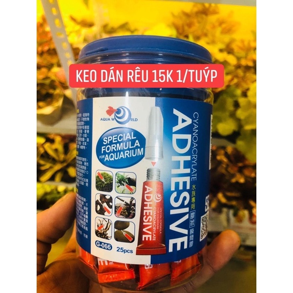 keo dán rêu - dán cây thuỷ sinh