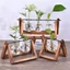 VVDZA Bình Thủy Tinh Trang Trí Terrarium Để Bàn Chậu Hoa