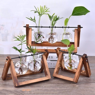 Bình trồng cây thủy canh JUIC Vintage Terrarium Để bàn Planter Khung gỗ