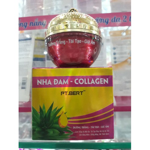 Kem Nha Đam Collagen Có Tốt Không? Khám Phá Lợi Ích và Cách Sử Dụng