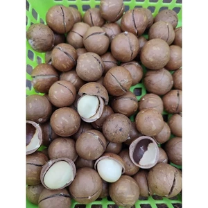 500gr macca bi vỏ mỏng nhân trắng giòn ( kèm kìm tách)