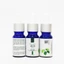 Tinh Dầu Xá Xị NEOP 10mL – Sarsi Essential Oil