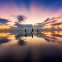 nguyenmy8386