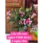 Gói Dưỡng Hoa Tươi Lâu Floralife 5g Giữ Hoa Tươi Sắc Sạch Nước Cho Bình Hoa và Xốp Cắm