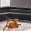 POP Cho Sáng Tạo Giáng Sinh Cặp Đôi Hươu Tuần lộc Sang Trọng Cho Búp Bê Sống Động Như Thật Nai Sừng Tấm Thú Nhồi Bông Đồ Chơi Nhà Tiệc Để Bàn Decora