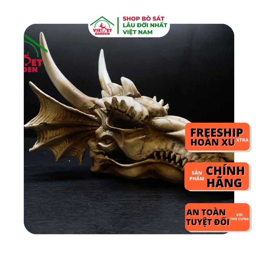 Sọ trang trí bể nuôi pet bò sát, bể cá, decor không gian | Vietpetgarden