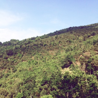 nhatnhatbt