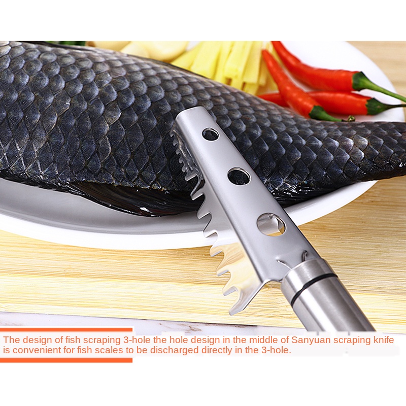 Dụng Cụ Đánh Vảy Cá Bằng Thép Không Gỉ