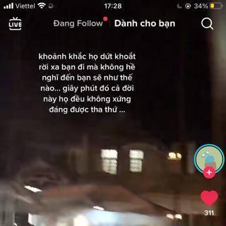 vietviet2022