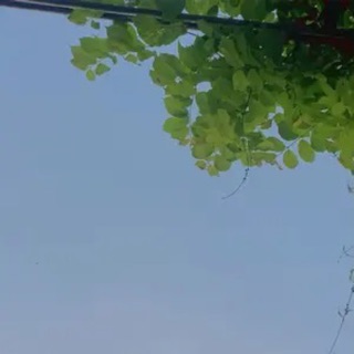 moonight_inthesky
