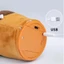 Cây Xương Rồng Nhảy Múa Đội Nón Biết Nói Nhái Giọng Hát Nhạc Đồ Chơi Nhồi Bông Cho Bé - BỐ KHỦNG LONG