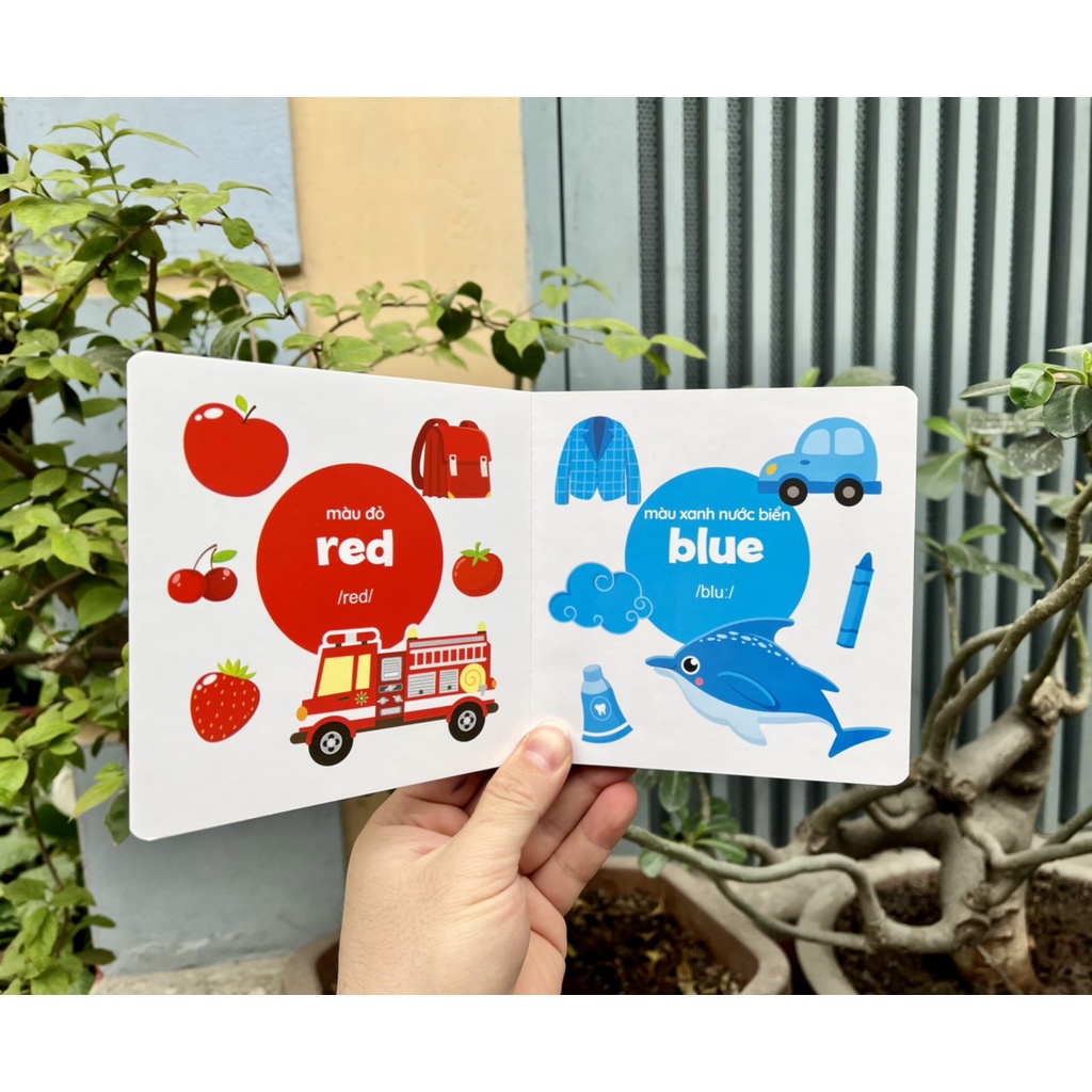 Ảnh Bộ sách bìa cứng Thư viện hình ảnh đầu tiên cho bé về thế giới xung quanh - Baby's First Picture Book (8 Cuốn) 4