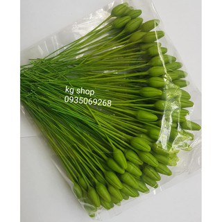 Nụ mai xanh đất sét không đài(100 nụ).Sản phẩm loại 1