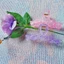 Kẹp tóc cute Hàn Quốc , Kẹp càng cua nhựa trong xoắn chấm hottrend nhiều màu sắc cho nàng